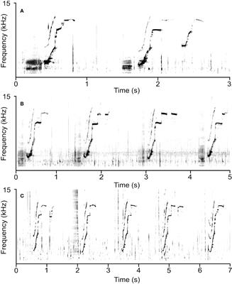 Signature whistle use and changes in whistle emission rate in a rehabilitated rough-toothed dolphin